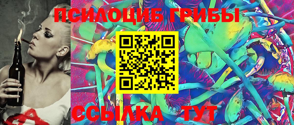 Псилоцибиновые грибы GOLDEN TEACHER Королёв