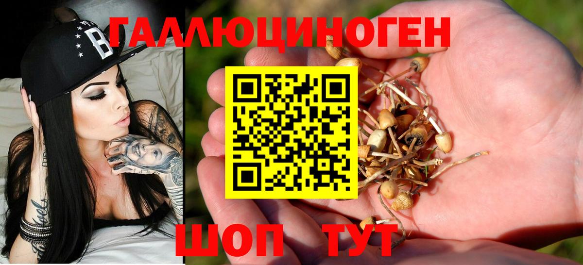 купить   Вход с VPN  Королёв  Галлюциногенные грибы ЛСД 